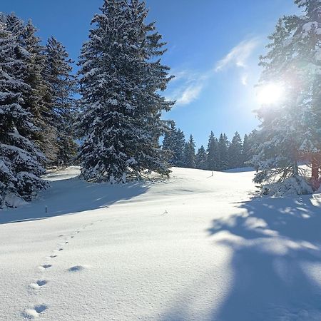 Appartamento Ferien In Der Region Lenzerheide Esterno foto